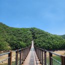 충북 제천 여행 추천 청풍호 옥순봉 출렁다리와 카누 후기