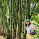 차이30(CHAI30) 이미지