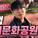 가을무렵 | 평택 가볼만한곳 추천｜핑크뮬리 명소 내리문화공원 가을 산책 후기