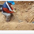 성무목장 이미지