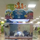 홈플러스서대전점(아이러브펫) 이미지