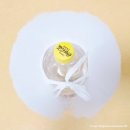 미용1 | 애견미용 배우기 1 (애견미용학원 고르기, 상담, 첫 수업 후기)