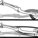 힙업공장 이미지