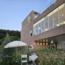[아산 탕정 카페] 구루미 카페 내돈내산 솔직 후기 | 방가삼대 먹고 걸어서 디저트 타임 🍃