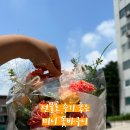 스노우플레르