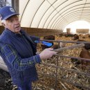 한은농장 이미지