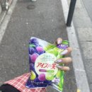 노미네일 이미지