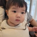 재환목장 이미지