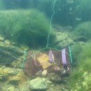 장수방화동캠핑장 이미지