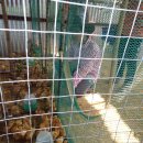 신학농장 이미지