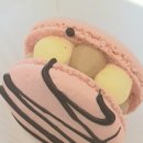 미드미(MIDMI) 이미지