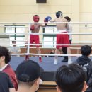 벚꽃권투체육관 이미지