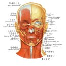 브이헤어샵