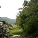 송골농장 이미지