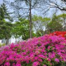 「숲속열린음악회 with 이현공원 풍경 015B & V.O.S」 이미지