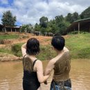 엘리펀트샤워 | [치앙마이 2025] 엘리펀트 정글 생츄어리 투어 후기(준비물, 픽업 포함, 강추 후기)