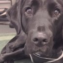 미소지은농장 이미지