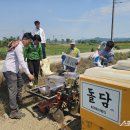 강진5호 이미지