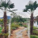 꿈꾸는 정원 이미지