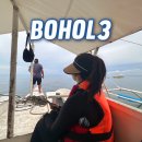 돌고래약국 | 보홀여행 3일차 발리카삭 호핑투어 돌고래 왓칭 알로나비치불쇼