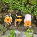 빨간 벽돌집 | 가평 펜션 추천 / 에어비앤비 단체 숙소 숲속빨간벽돌집 / 위치 가격 내돈내산 후기