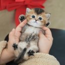 연제구-045 이미지