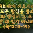 삼가-15 Daum카페