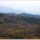 매화산목장 이미지