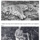 코벳 Daum카페