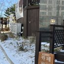 에그샌드앤카페 | [춘천] 에그타르트 맛집 하프앤로프 카페 간단후기