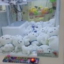 다뽑으리 이미지