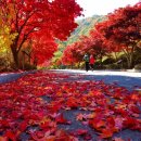 대둔산도립공원 이미지