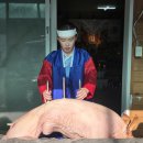 (자녀와함께) 생각을 말하는 아이, 마음을 듣는 부모 | 청주유명한점집/ 성인 자녀 문제로 부모 마음이 먼저 무너져 상담을 받았습니다