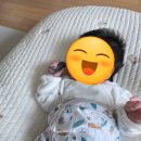 백두체육관 2도장 | 나나의 꿈제작소 셀프 DIY 탯줄 도장 업체 추천 내돈내산 후기 (고등어체, 백두산석)
