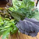 늘푸른건강밥상2 이미지