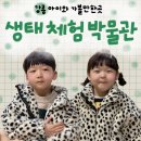 자연아놀자박물관 | 강릉 아이와 가볼만한곳 생태체험 박물관 자연아 놀자 후기