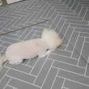 순천만동물병원 이미지