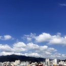 푸른하늘 이미지