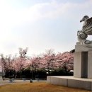 신라대학교 이미지