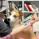 (주)떼아모코리아 | 살인 한번이면 참을인 세번을 면한다