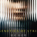 양인모 바이올린 리사이틀 이미지