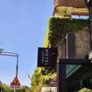 선트리호텔 이미지