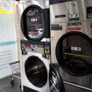 완도1호 이미지