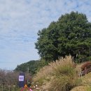 전통문화예술체험(솟대 만들기) | 제천에서 일주일 살아보기 5일차- 능강솟대문화공간에서의 행복한 시간