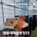 동지농장 | 남양주아이랑갈만한곳 앵무새체험농장33 솔직 후기! 아이들이 집에 갈 생각을 안해요