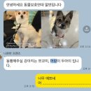 미주농장 | LA 해외 이동봉사 후기(아산 동물보호연대)