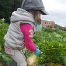 재이농장 이미지