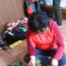 카포스자동차정비 이미지