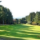 오라골프존 | 제주 공항 근처 골프존카운티 오라 제주 골프장 예약 후기