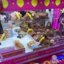 찌꼬뽀꼬 대전점 이미지